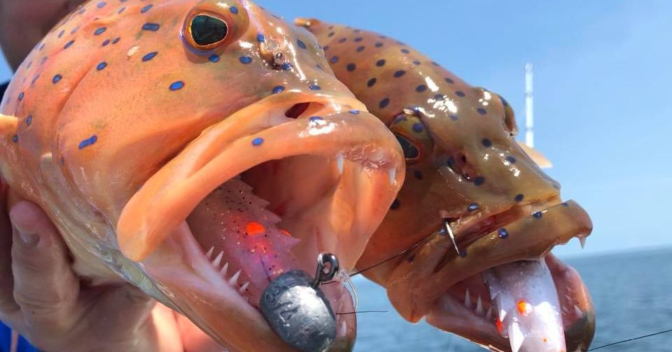 The Top Six Fish To Catch In The Northern Territory Barramundi Mud